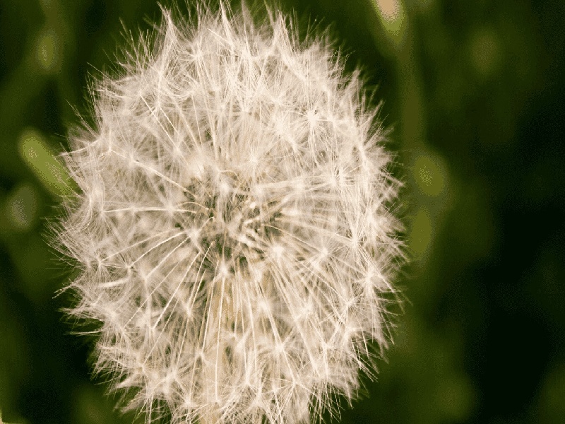 好孕棒 试管周末猫之夜试管试管取卡额度