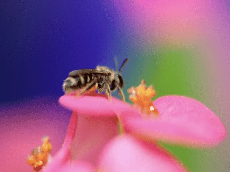 嘉兴妇幼试管开奖试管后怀孕检查plcc试管换药视频